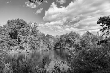 Sonbahar ağacını ve göleti New York 'a park et. Manzaralı düşüş. Sonbaharda Central Park 'ta. Göletli sonbahar manzarası. Sonbahar doğa manzarası. Central Park 'ta sonbahar doğası. Mevsimlik sonbahar manzarası. Şehir parkı.