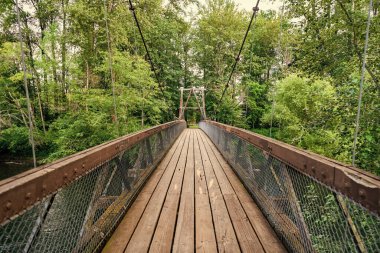Macera rotası. Asma köprü. Seyahat güzergahı. Varış yolu. Dışarıdaki turistik patika. Ormanda köprünün üzerinde yol var. Yapı bağlanıyor.