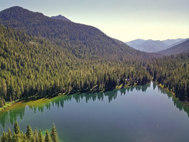 Washington 'daki Cooper Gölü. Cooper Gölü 'nün popüler doğa yürüyüşü. Cooper gölü ve dağ manzarası. Cooper Gölü 'nün dağ ve orman manzarası. Doğa manzarası. Lakefront görünümü.