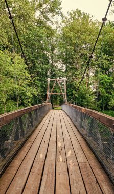 Ormanda köprünün üzerinde yol var. Macera rotası. Asma köprü. Seyahat güzergahı. Varış yolu. Dışarıdaki turistik yollar..