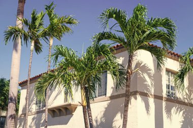 Balkonları ve palmiye ağaçları olan bir apartman. Binanın düşük açılı görüntüsü. Konut mimarisi. Mimari dış görünüş. Evin dış kısmı parçalanmış. Modern apartman.