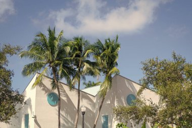 Bina. Konut mimarisi. Mimari dış görünüş. Evin dış kısmı parçalanmış. Modern apartman binası. Balkonları ve palmiye ağaçları olan bir apartman. Güney mimarisi.