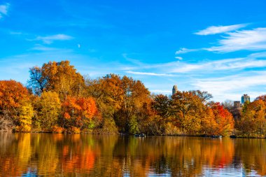 Sonbahar manzarası. Sonbahar doğası. Central Park 'ta küçük bir gölde kayık. Sonbaharda Central Park Gölü 'nde insanların kürek çektiği bir yer. Central Park güneşli sonbahar gününde renk değiştiriyor. Göl dinginliği.