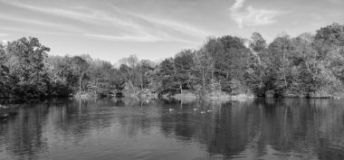 Park sonbahar manzaralı düşüşü. Sonbaharda Central Park 'ta. Göletteki ördekle sonbahar manzarası. Sonbahar doğa manzarası. Central Park 'ta güzel bir gölet. Sonbahar doğa ördeği. Mevsimlik sonbahar manzarası. Panoramik görünüm.