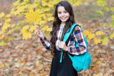 Okula dönelim. Okul çantalı sonbahar kızı. Ergenlik için eğitim. Sonbahar parkında açık havada genç bir kız. Çalışmak için sonbahar zamanı. Bilgi ve eğitim. Okul eğitimi. Öğrenci hayatı.