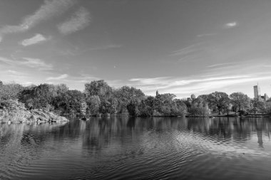 Central Park 'ta küçük bir gölde kayık. Sonbaharda Central Park Gölü 'nde insanların kürek çektiği bir yer. Central Park güneşli sonbahar gününde renk değiştiriyor. Sonbahar manzarası. Sonbahar doğası. NYC 'de kürek çekmek.