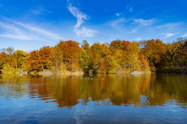 Manzaralı düşüş. Sonbaharda Central Park 'ta. Sonbahar manzarası. Göletteki tekne. Sonbahar doğa manzarası. Central Park 'ta sonbahar doğası. Mevsimlik sonbahar manzarası. Sonbahar göletine park teknesi, New York. Bir tekne kirala..