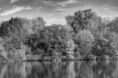 Mevsimlik sonbahar manzarası. Sonbahar ağacını ve göleti New York 'a park et. Manzaralı düşüş. Sonbaharda Central Park 'ta. Göletli sonbahar manzarası. Sonbahar doğa manzarası. Central Park 'ta sonbahar doğası. Yaprak döken ağaçlar.