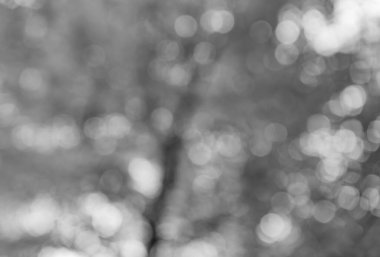 Bulanık sonbahar yaprakları. Odaklanamayan renkli mevsim. Bokeh sonbahar yaprakları. Arka planda bulanık turuncu renk. Sonbahar doğası. Bulanık arka plan. Sonbahar, doğanın odak noktasını kaybetti. Bulanık çevrili.