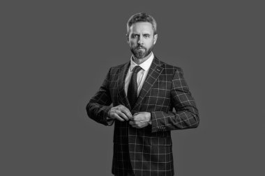 Başarılı bir iş. Girişimcinin başarısı. Ofis müdürü. İşadamı Grey 'de izole edilmiş. Takım elbiseli bir iş adamı. Olgun iş adamı. İş adamı portresi. Çalışan nişanı.