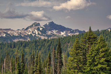 Dağ manzaralı bir yer. Manzara sonbahar kırsalında. Ormanlı Tahoma Dağı manzarası. Rainier Dağı dağ manzarası. Orman doğası. Dağ kırsalında doğa. Dramatik uçurumlar.