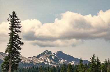 Rainier Dağı dağ manzarası. Orman doğası. Dağ kırsalında doğa. Dağ manzaralı bir yer. Manzara sonbahar kırsalında. Ormanlı Tahoma dağı manzarası.