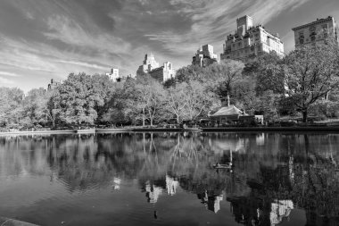 New York City, ABD - 20 Kasım 2023: Güzel şehir manzarası ve doğa ile sonbahar şehri manzarası. Manhattan silüeti.