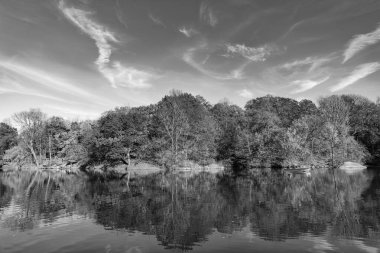 Sonbahar manzarası. Göletteki tekne. Sonbahar doğa manzarası. Central Park 'ta sonbahar doğası. Mevsimlik sonbahar manzarası. Sonbahar göletine park teknesi, New York. Manzaralı düşüş. Sonbaharda Central Park 'ta. Tekne.