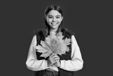 Sonbahar moda kızı. Moda ve şık genç kız gülümsüyor. Gençler için sonbahar moda tarzı. Düşmüş akçaağaç yaprakları. Sonbahar modası. Sonbahar tarzında bir kız. Genç kız akçaağaç yaprağı tutuyor. Akçaağaç festivali.