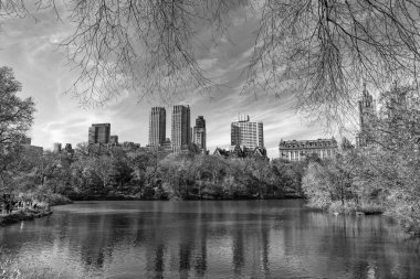 - New York. New York. Central Park 'ta. Doğa sonbahar manzarası. Central Park 'ta sonbahar sezonu. Sonbahar mevsiminde mevsimlik şehir manzarası. Doğanın sonbahar güzelliği. Şehir parkında doğa. Parkta sonbahar manzarası. Sonbahar manzarası. Serin esinti.