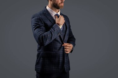 Takım elbiseli bir iş adamı. Bespoke takımı. Resmi erkek giyimi. Formalite icabı giyinmiş bir adam. Şık takım elbiseli bir iş adamı. Gri kravatlı resmi takım elbise ceketi. Zarif Görünüm.