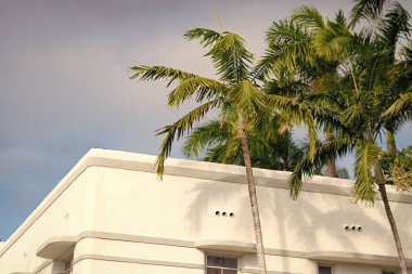 Konut mimarisi. Mimari dış görünüş. Evin dış kısmı parçalanmış. Modern apartman binası. Çatısı ve palmiye ağaçları olan bir apartman. Beyaz binanın düşük açılı görüntüsü.