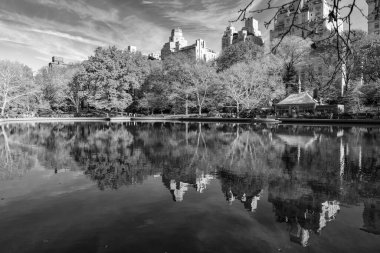 New York City, ABD - 20 Kasım 2023: Sonbahar sezonunda Central Park 'ın güzel şehir manzarası ve sudaki yansımasıyla sonbahar şehri manzarası.