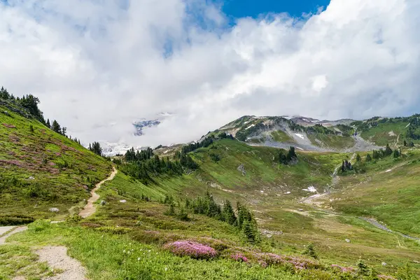 Çayırlı dağ manzarası. Bulutlu gökyüzü olan vadi manzarası. Yeşil Tepe Dağı manzaralı. Seyahat güzergahı. Vahşi dağlarda, orman ve yeşil yamaçlarla nefes kesici bir yaz..