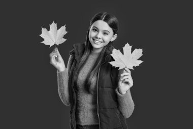 Genç kız sonbahar tarzında akçaağaç yapraklarını kırmızı renkte soyutlamış..