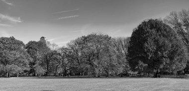 Sonbahar ormanı ya da sonbahar mevsiminde park. Central Park 'ta sonbahar ağacı. Sonbahar doğa manzarası. Mevsimlik sonbahar manzarası. Park doğası. Sonbahar manzarası. Doğada sonbahar yaprakları olan ağaç. Kızıl yapraklar..