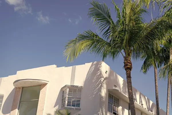Binanın düşük açılı görüntüsü. Konut mimarisi. Mimari dış görünüş. Evin dış kısmı parçalanmış. Modern apartman binası. Yaz cenneti. Palmiye ağaçları olan bir apartman..