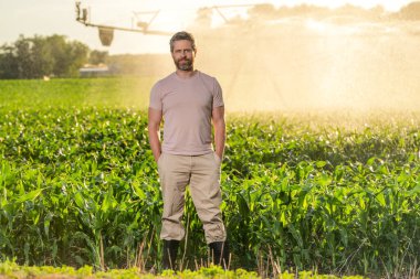 Sulama sisteminde tarımı sulayan bir adam. Kırsal kesimde çiftçi, arka ışıkçı. Su püskürtme sulama tarlası. Damlatma sulama sistemi. Ekin sulama. Tarım ve tarım.