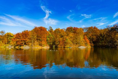 Sonbaharda Central Park 'ta. Sonbahar manzarası. Göletteki tekne. Sonbahar doğa manzarası. Central Park 'ta sonbahar doğası. Mevsimlik sonbahar manzarası. Sonbahar göletine park teknesi, New York. Manzaralı düşüş. Göl dinginliği.