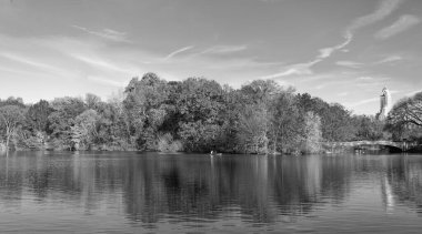 Sonbaharda Central Park 'ta renkli devrilmiş ağaçlar. Sonbahar doğası. New York City Central Park 'ta gölde teknesi var. Sonbahar manzarası. Central Park göletinde kürek çeken insanlar. Göl dinginliği.