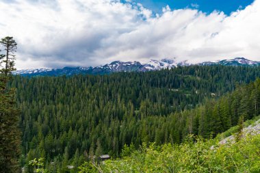 Karışık ormanın doğası. Manzaranın doğası. Manzaralı orman manzarası. Ormanlı tepe manzarası. Doğa dağ ormanı. Dağdaki yeşil orman manzarası. Vahşi çam korusu.