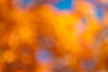 Görüntü arkaplanı. Parlak sonbahar geçmişi ve kimsesi yok. Odaklanmamış bulanıklık sonbahar rengi. Sonbahar sezonu. Bulanık doğal fotoğraf. Bulanık sonbahar arka planı. Odaklanmamış sonbahar rengi.