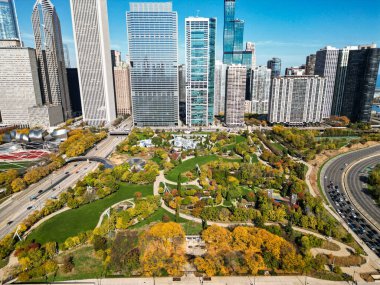 Chicago şehir manzarası gökyüzü mimarisi. Gökdelen ve manzara. Chicago şehir manzarası. Chicago şehir merkezi parkı ve ufuk çizgisi. Autumn City Park manzarası. Sonbahar şehri parkı olan şehir manzarası. Chicago silüeti.