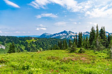Çayırlı dağ manzarası. Bulutlu gökyüzü olan vadi manzarası. Yeşil Tepe Dağı manzaralı. Seyahat güzergahı. Vahşi dağlarda, orman ve yeşil yamaçlarla nefes kesici bir yaz..