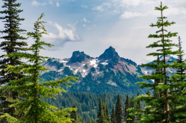 Doğa dağ ormanı. Dağdaki yeşil orman manzarası. Karışık ormanın doğası. Manzaranın doğası. Manzaralı orman manzarası. Ormanlı tepe manzarası. Tepe ve çayır.