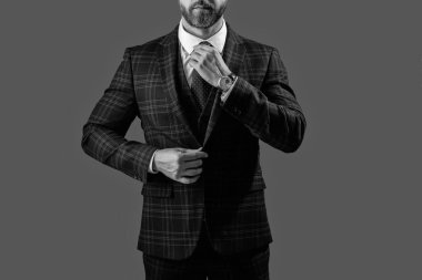 Resmi kıyafetli, şık takım elbiseli, gri, kırpık manzaralı bir adam..