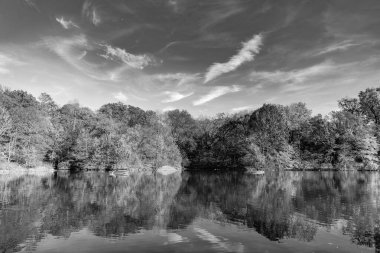 Sonbahar doğa manzarası. Central Park 'ta sonbahar doğası. Mevsimlik sonbahar manzarası. Sonbahar göletine park teknesi, New York. Manzaralı düşüş. Sonbaharda Central Park 'ta. Sonbahar manzarası. Göletteki tekne. Sahne teknesi.