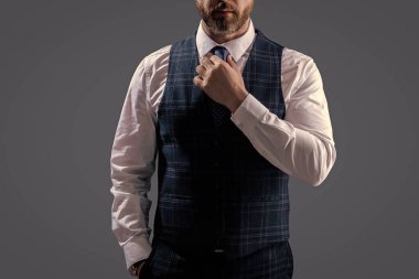 Gri kravatlı resmi takım elbise. Erkek giyim kuşamı. Bespoke takımı. Resmi erkek giyimi. Resmi aksesuarlar. Formalite icabı iş adamı. Kesik manzaralı. Zarif, özel dikim yelek giyen bir iş adamı..