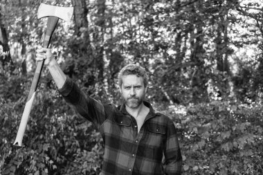 Baltalı İspanyol oduncu adam. Oduncu baltası. Ağaç kesen baltayla olgun bir adamın portresi. Çalışkan, acımasız adam. Oduncu dışarıda çok çalışıyor. Acımasız oduncu. Vahşilik ve erkeklik.