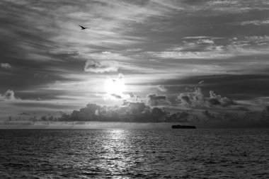 Dramatik gün doğumu. Yaz plajında deniz doğumu. Yaz tatilinde gün batımı deniz manzarası. Deniz kıyısında gün doğumu. Gün batımında dramatik deniz manzarası. Deniz manzarasında romantik bir yaz tatili. Gemi silueti.