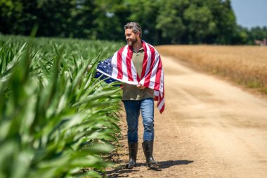 4 Temmuz. Amerikan İşçi Bayramı. Amerikan bayrağı ve çiftçi adam. ABD bayrağı. Bağımsızlık Günü. Sahadaki adam. Ekin tarlasında Amerikan bayrağı taşıyan adam. Amerika 'nın Bağımsızlık Günü. Seçici odak.
