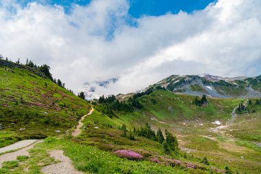 Bulutlu gökyüzü olan vadi manzarası. Yeşil Tepe Dağı manzaralı. Seyahat güzergahı. Vahşi dağda, orman ve yeşil yamaçlarla nefes kesici bir yaz. Geniş çayırlı dağ manzarası.