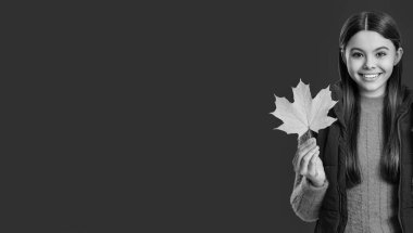 Genç kız akçaağaç yaprağı tutuyor. Sonbahar moda kızı. Moda ve şık genç kız gülümsüyor. Gençler için sonbahar moda tarzı. Düşmüş akçaağaç yaprakları. Sonbahar modası. Sonbahar tarzında bir kız. Pankart.