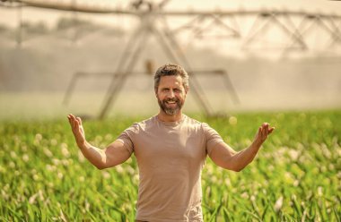 Damlatma sulama sistemi. Ekin sulama. Tarım ve tarım. Sulama sisteminde tarımı sulayan bir adam. Çiftçi adam sonuç sunuyor. Su fıskiyesi sulama tarlası.