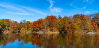 Göletli sonbahar manzarası. Sonbahar doğa manzarası. Central Park 'ta sonbahar doğası. Mevsimlik sonbahar manzarası. Sonbahar ağacını ve göleti New York 'a park et. Manzaralı düşüş. Sonbaharda Central Park 'ta. Sonbahar yeşilliği.