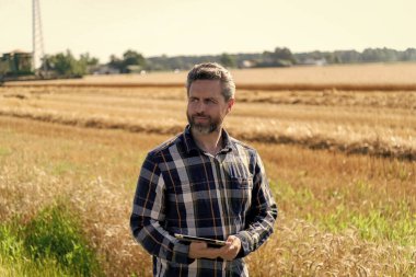 Modern tarımın teknolojisi. Tarlada tabletle çalışan çiftçi. Tablet çekli İspanyol çiftçi. Ekin hasadı. Tarlada tableti olan çiftçi tarımcı adam. Büyümenin izlenmesi.