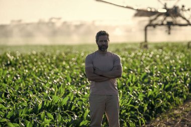 Kırsal kesimde bir çiftçi. Su püskürtme sulama tarlası. Damlatma sulama sistemi. Ekin sulama. Tarım ve tarım. Beyaz adam sulama sisteminde tarımı suluyor..