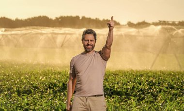 Tarım ve tarım. Sulama sisteminde tarımı sulayan bir adam. Kırsal kesimde bir çiftçi. Su püskürtme sulama tarlası. Damlatma sulama sistemi. Ekin sulama. İşaret parmağı.