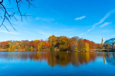 Sonbahar manzarası. Central Park göletinde kürek çeken insanlar. Sonbaharda Central Park 'ta renkli devrilmiş ağaçlar. Sonbahar doğası. New York City Central Park 'ta gölde teknesi var. Tekne sezonu.