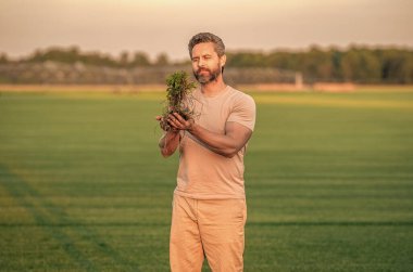Çevre tarımı ve tarım ürünleri. Sürdürülebilir bir gelecek yetiştirme filizini yetiştir. Tarım mahsulü hasadı. Sahada filizlenen bir adam var. Yeşil ekoloji ve tarım ortamı. Ekin hasadı.